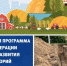 Строительство водопровода в х.Евсеевский, х.Тереховский выполнено на 80% - Усть-Донецкий район