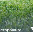 Уважаемые устьдончане. - Усть-Донецкое городское поселение