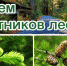 Нажмите для предварительного просмотра изображения - Усть-Донецкий район