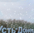 Афиша новогодних мероприятий на территории Усть-Донецкого района - Усть-Донецкий район