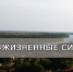 Информационный сервис «Жизненные ситуации» - УстьДонИнфо