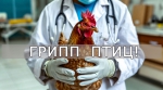 Грипп птиц