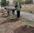 В Усть-Донецком прошел областной день древонасаждения - Усть-Донецкое городское поселение