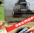 Ростовская область на первом месте в Южном федеральном округе по экспорту продукции собственного производства - УстьДонИнфо